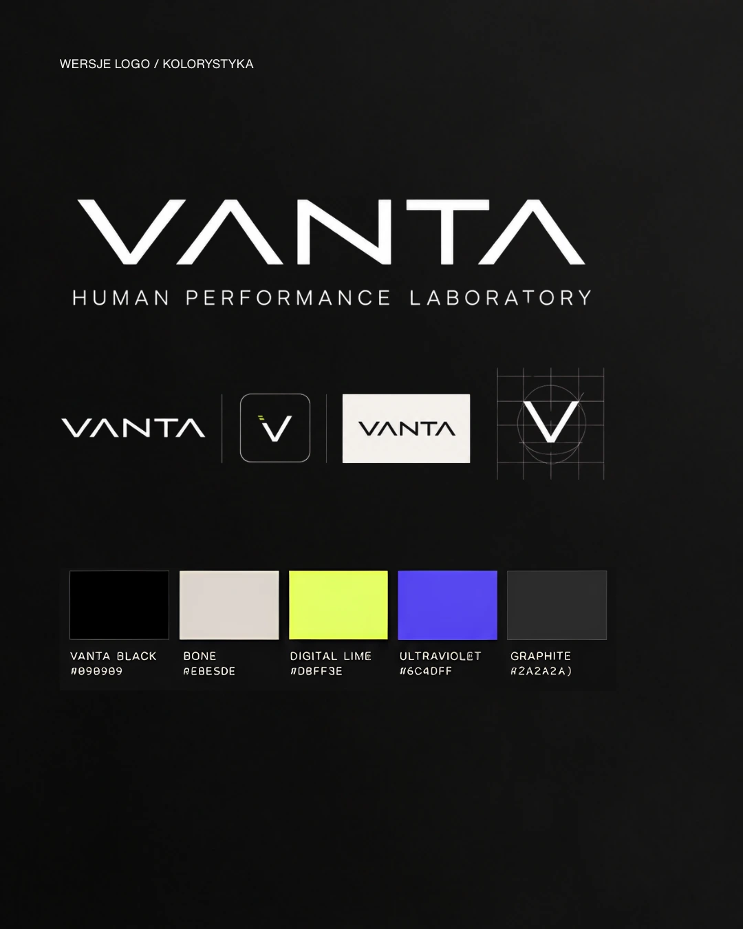 Warianty logo VANTA i paleta kolorystyczna marki