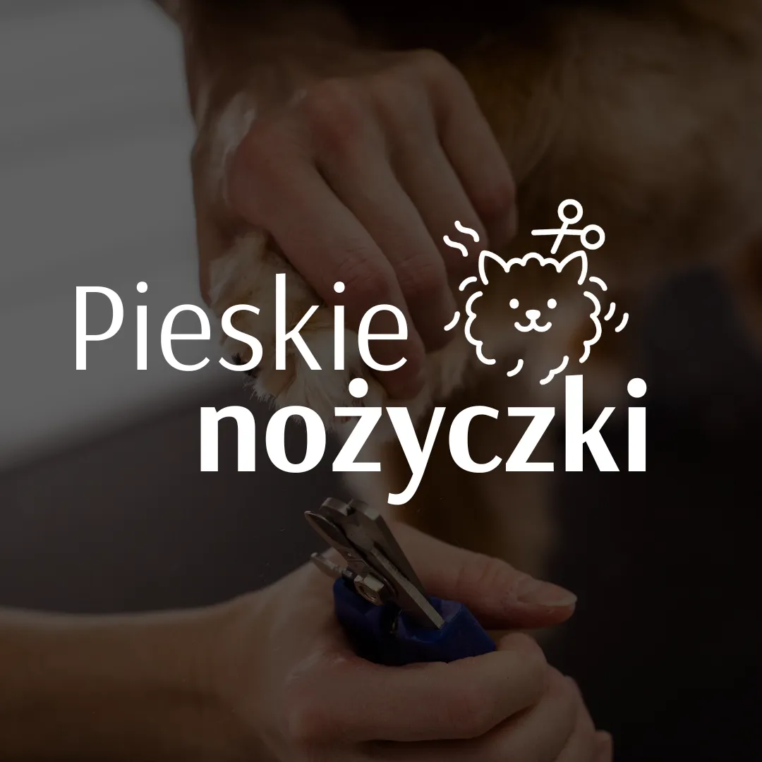 Pieskie Nożyczki · element identyfikacji 7