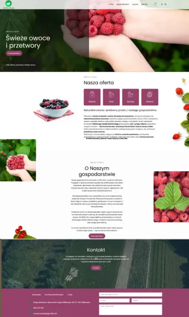 Owoce z Pasją - strona internetowa przed współpracą